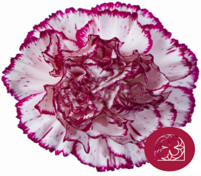 Ramos primaverales y de rosas de Flores Trevin