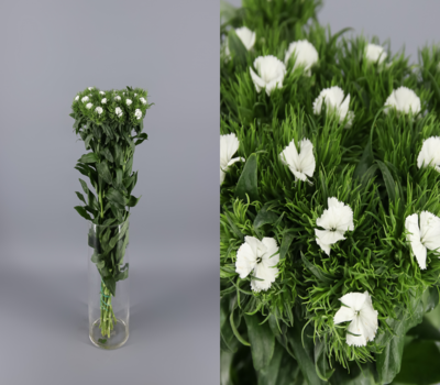 Relleno flor Flores Trevin