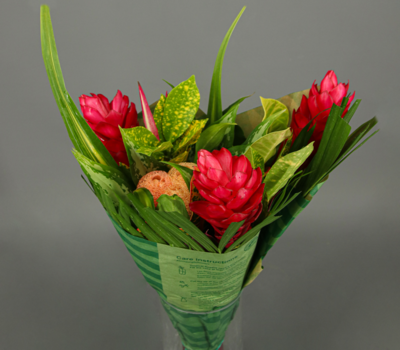 Flores Tropicales Trevin