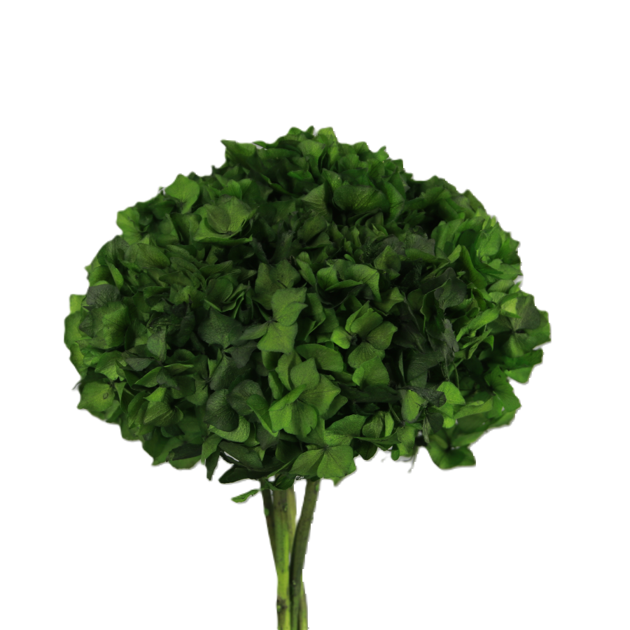 Verdes Velilla de San Antonio